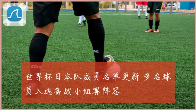 世界杯日本队成员名单更新 多名球员入选备战小组赛阵容