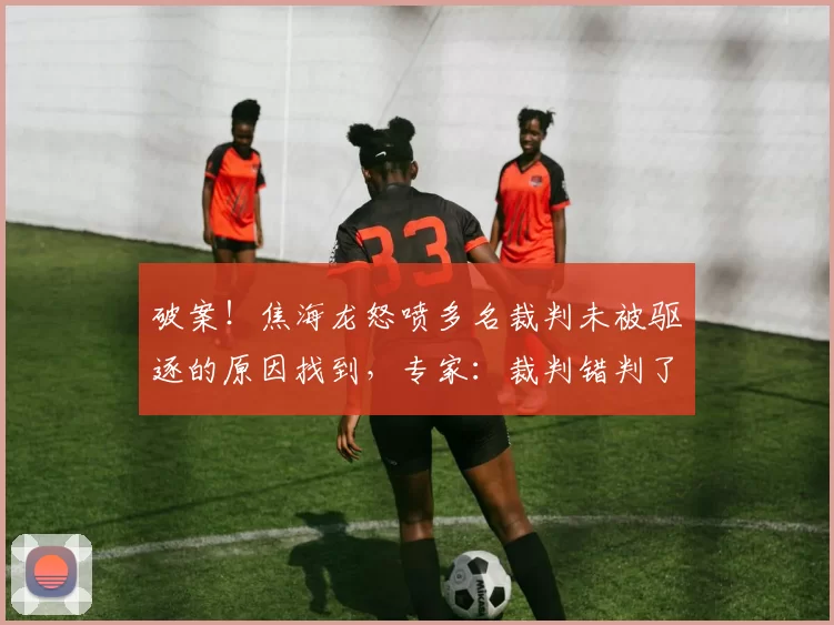 破案！焦海龙怒喷多名裁判未被驱逐的原因找到，专家：裁判错判了