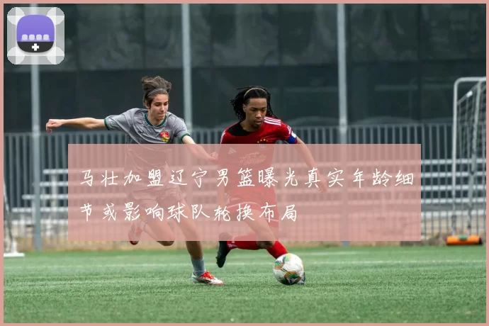马壮加盟辽宁男篮曝光真实年龄细节或影响球队轮换布局