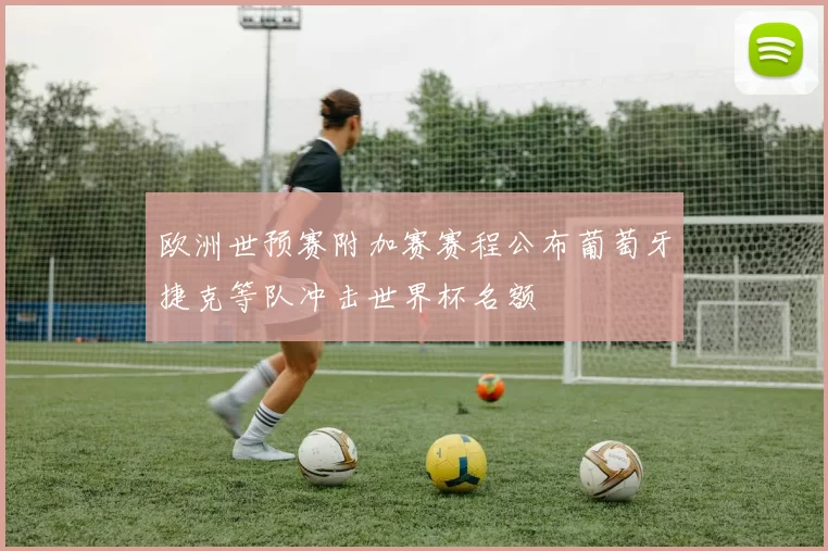 欧洲世预赛附加赛赛程公布葡萄牙捷克等队冲击世界杯名额