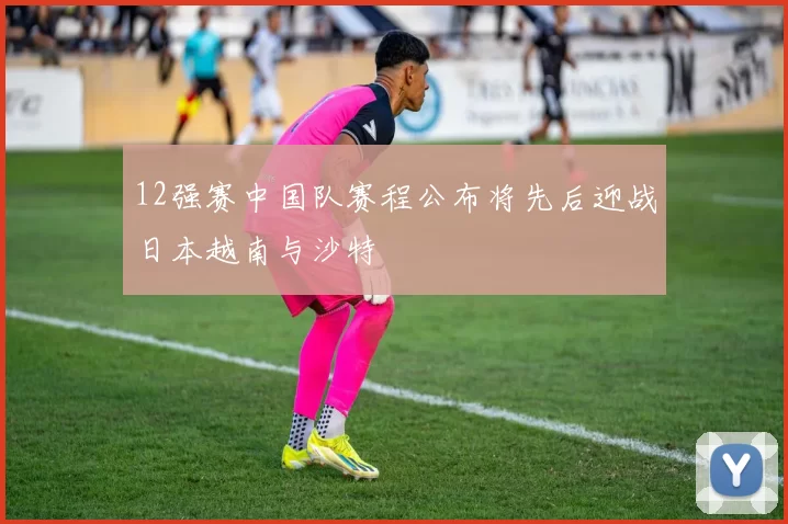 12强赛中国队赛程公布将先后迎战日本越南与沙特
